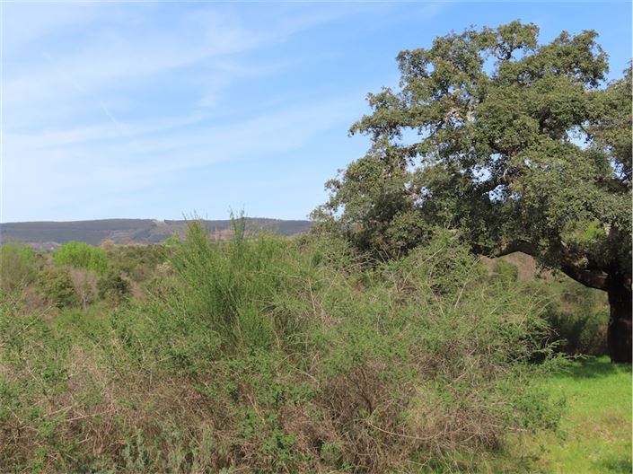 Image No.9-Property for sale