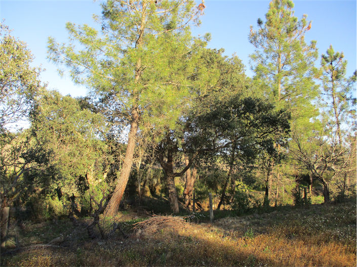 Image No.10-Property for sale