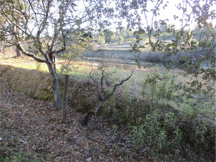 Image No.12-Property for sale