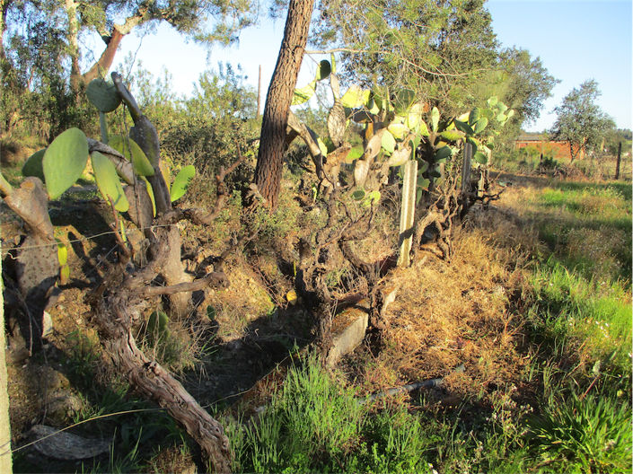 Image No.15-Property for sale