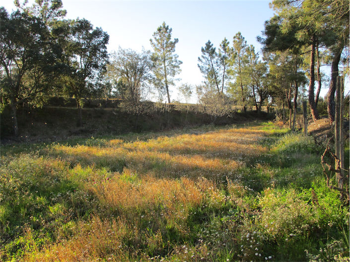 Image No.16-Property for sale