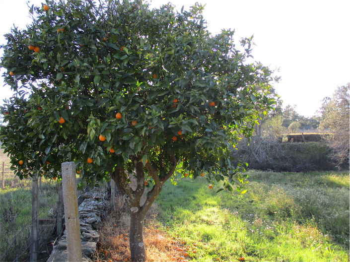 Image No.17-Property for sale