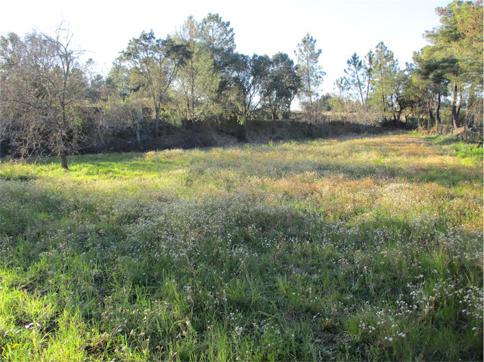 Image No.18-Property for sale