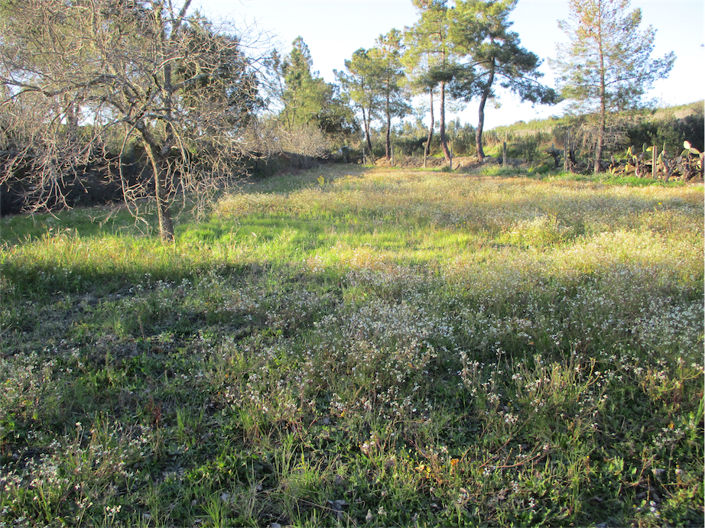 Image No.19-Property for sale