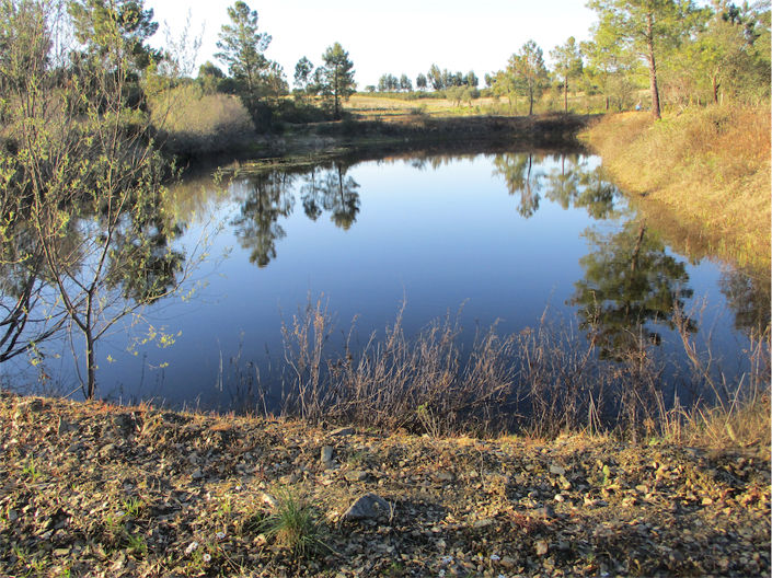 Image No.2-Property for sale