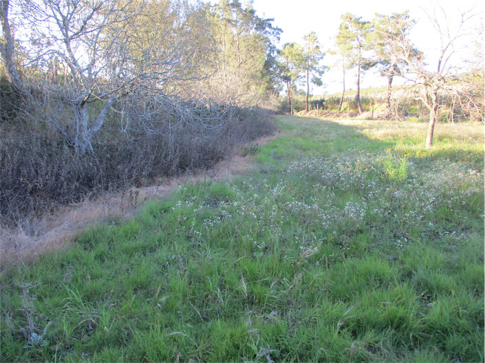 Image No.22-Property for sale