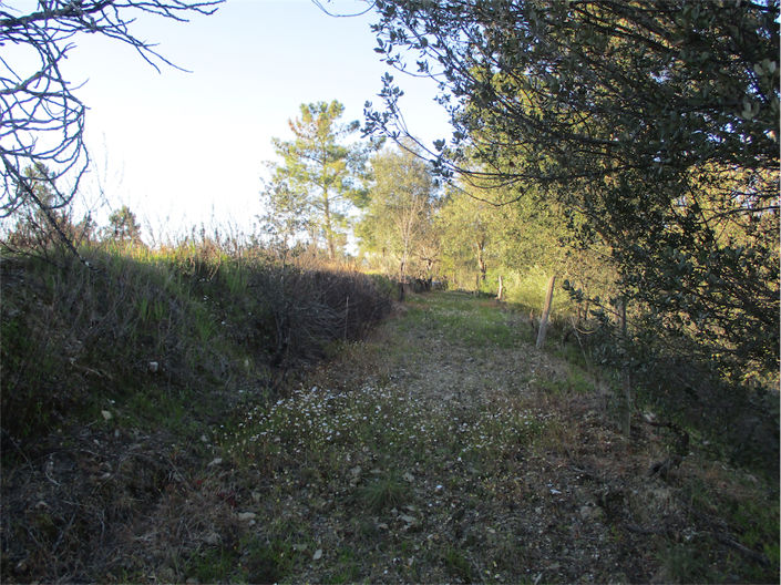 Image No.23-Property for sale