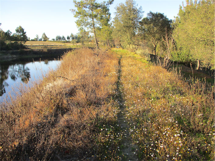 Image No.25-Property for sale