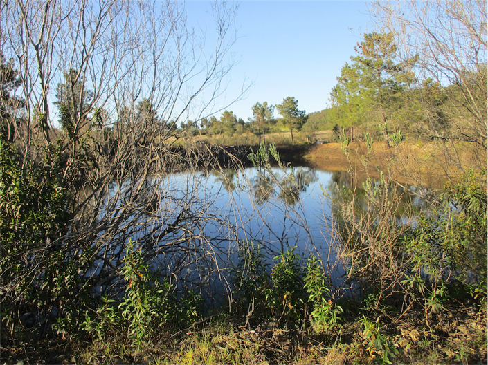 Image No.3-Property for sale