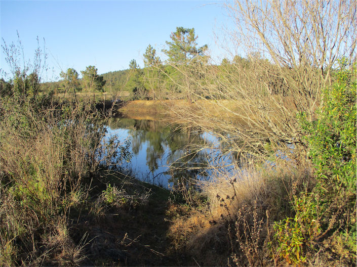 Image No.4-Property for sale