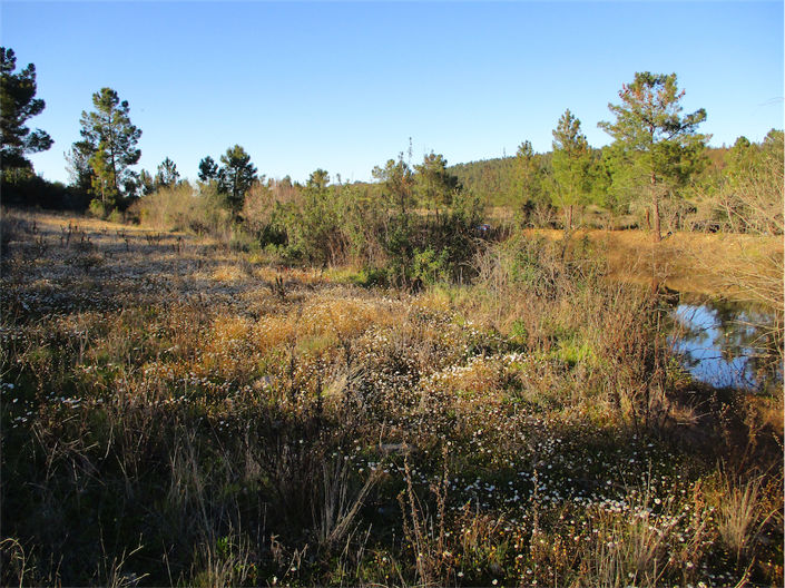 Image No.5-Property for sale