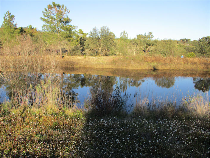 Image No.6-Property for sale