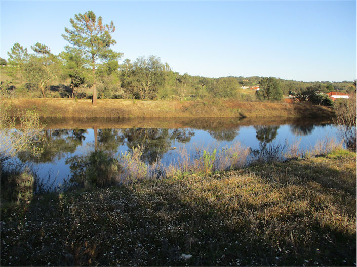 Image No.7-Property for sale