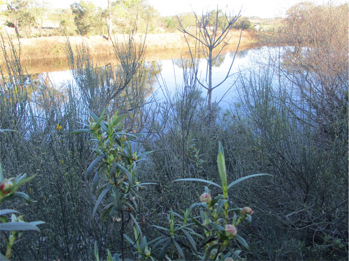 Image No.8-Property for sale