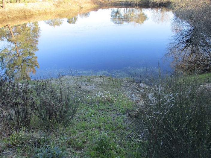 Image No.9-Property for sale