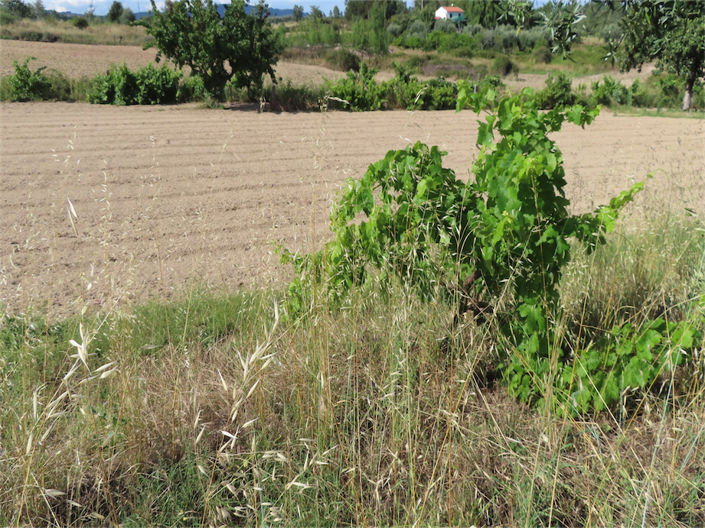 Image No.1-Property for sale