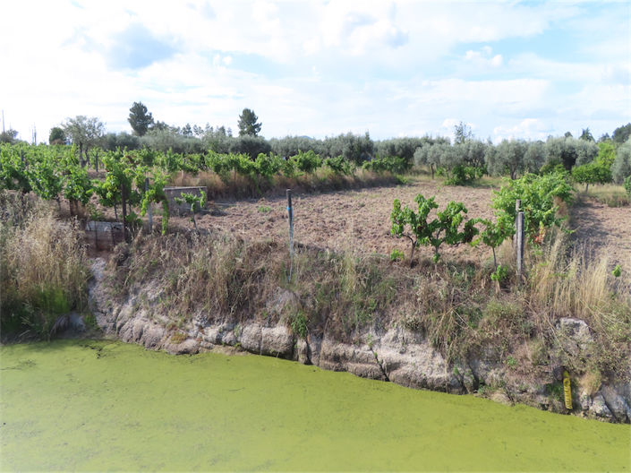 Image No.12-Property for sale