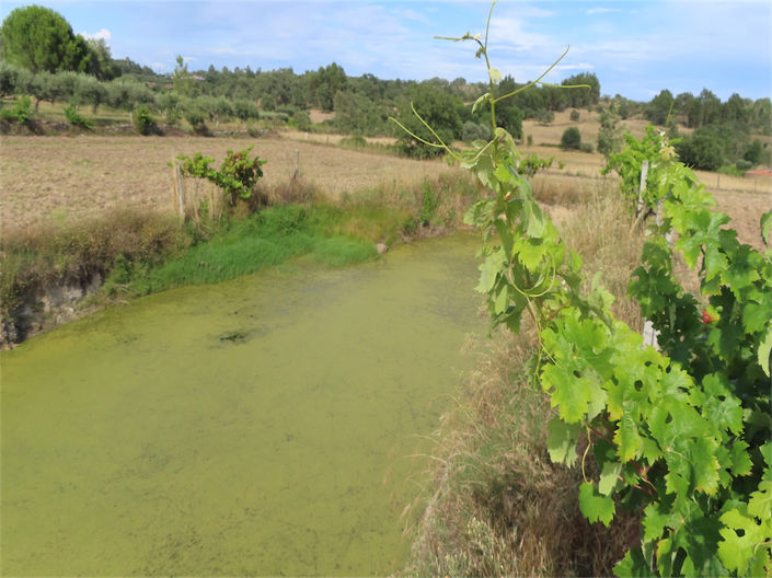 Image No.14-Property for sale