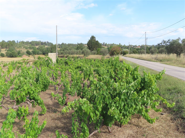 Image No.16-Property for sale