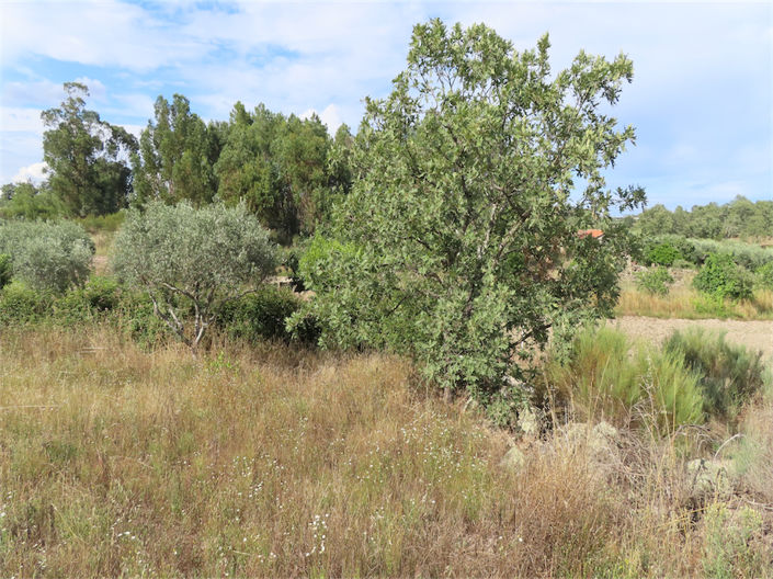 Image No.2-Property for sale