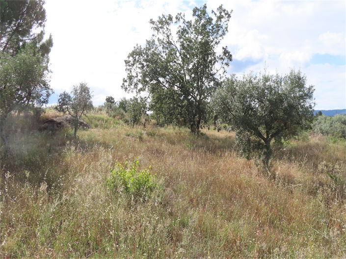 Image No.3-Property for sale