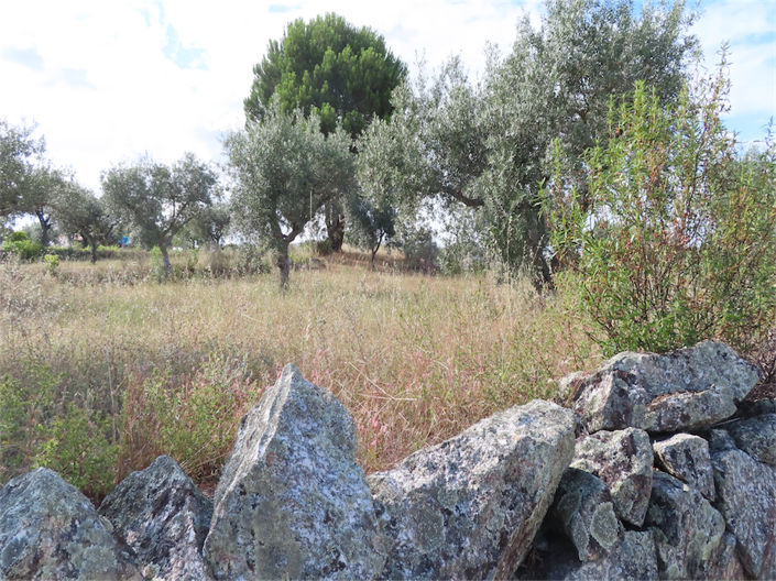 Image No.4-Property for sale