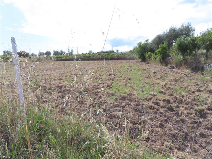 Image No.6-Property for sale