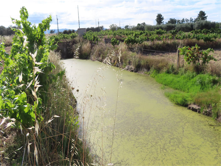 Image No.8-Property for sale