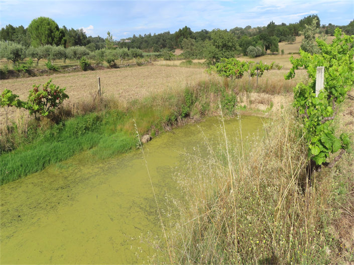 Image No.9-Property for sale