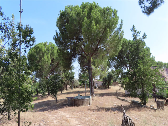 Image No.12-3 Bed Property for sale