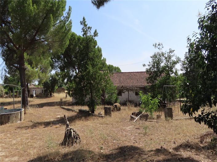 Image No.13-3 Bed Property for sale