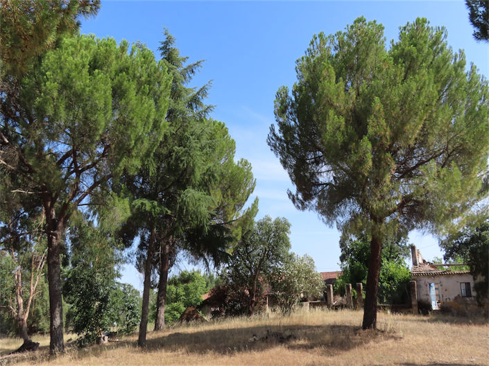 Image No.23-3 Bed Property for sale