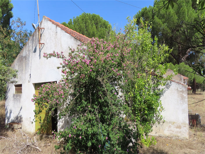 Image No.24-3 Bed Property for sale