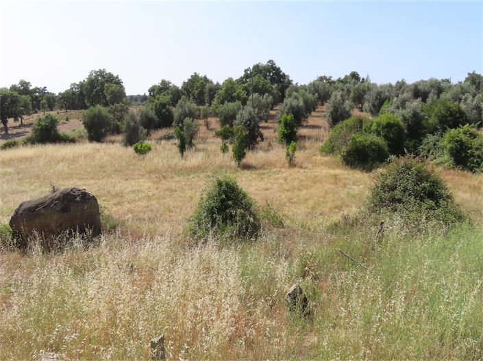 Image No.29-3 Bed Property for sale