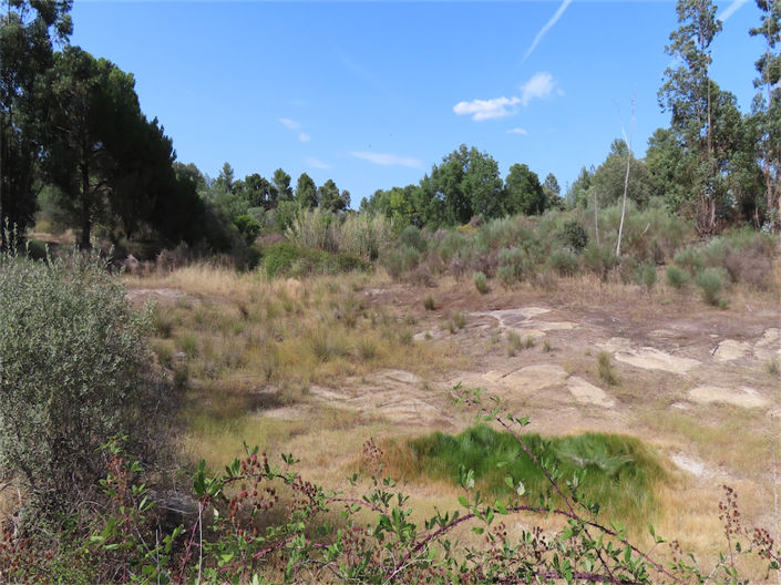 Image No.43-3 Bed Property for sale