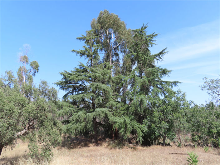 Image No.48-3 Bed Property for sale