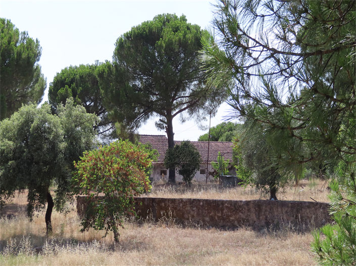 Image No.4-3 Bed Property for sale