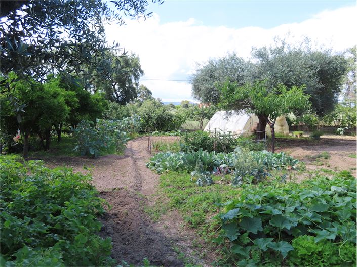 Image No.11-Property for sale