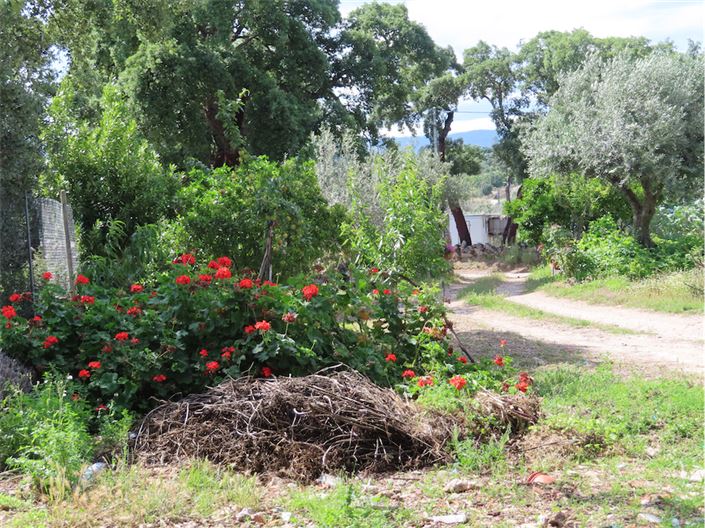 Image No.21-Property for sale