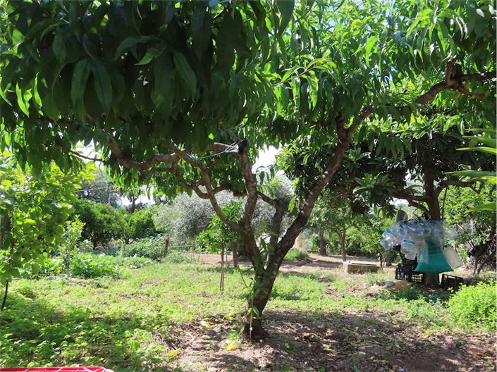 Image No.34-Property for sale