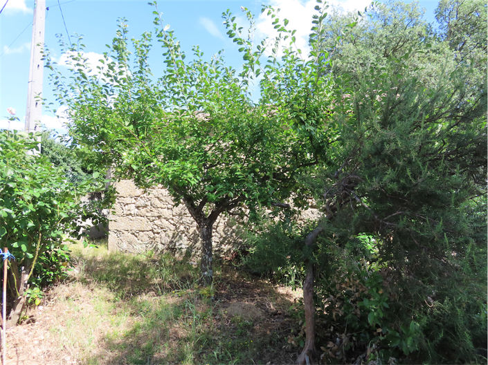 Image No.4-Property for sale