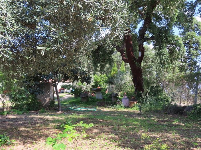 Image No.48-Property for sale