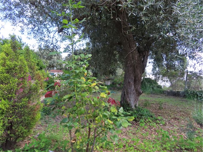 Image No.5-Property for sale