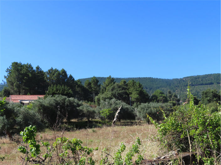 Image No.2-2 Bed Property for sale