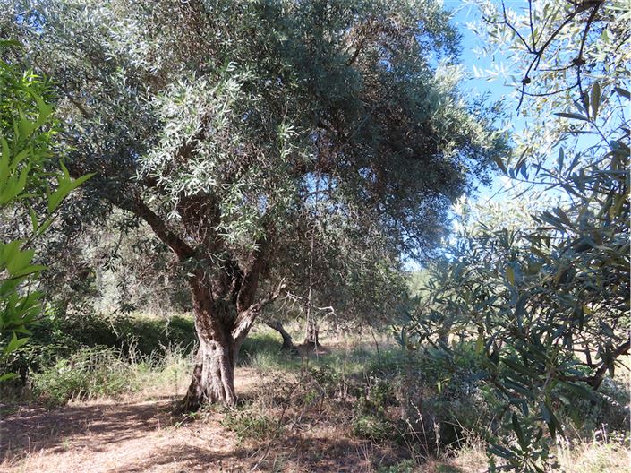 Image No.38-2 Bed Property for sale