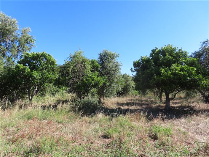 Image No.48-2 Bed Property for sale