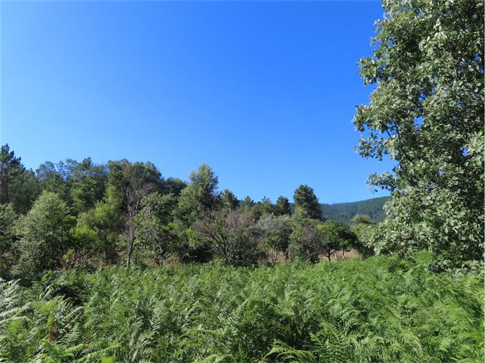 Image No.50-2 Bed Property for sale