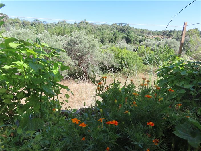 Image No.9-2 Bed Property for sale