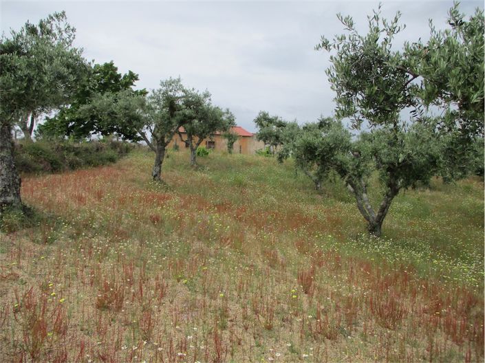 Image No.1-Property for sale