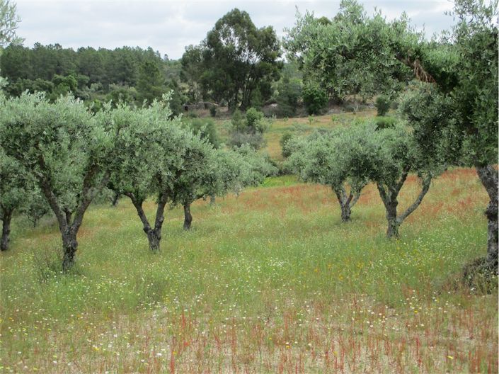 Image No.11-Property for sale